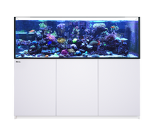 Load image into Gallery viewer, Red Sea - Reefer XXL 750 G2 Complete System (160 gal)