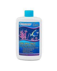 Reef - Dr. Tims One and Only – sjreef