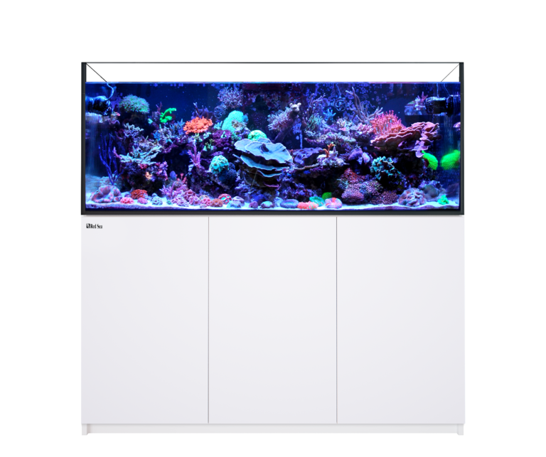 Red Sea Reefer 250 水槽 red-sea-reefer-250-aquarium-