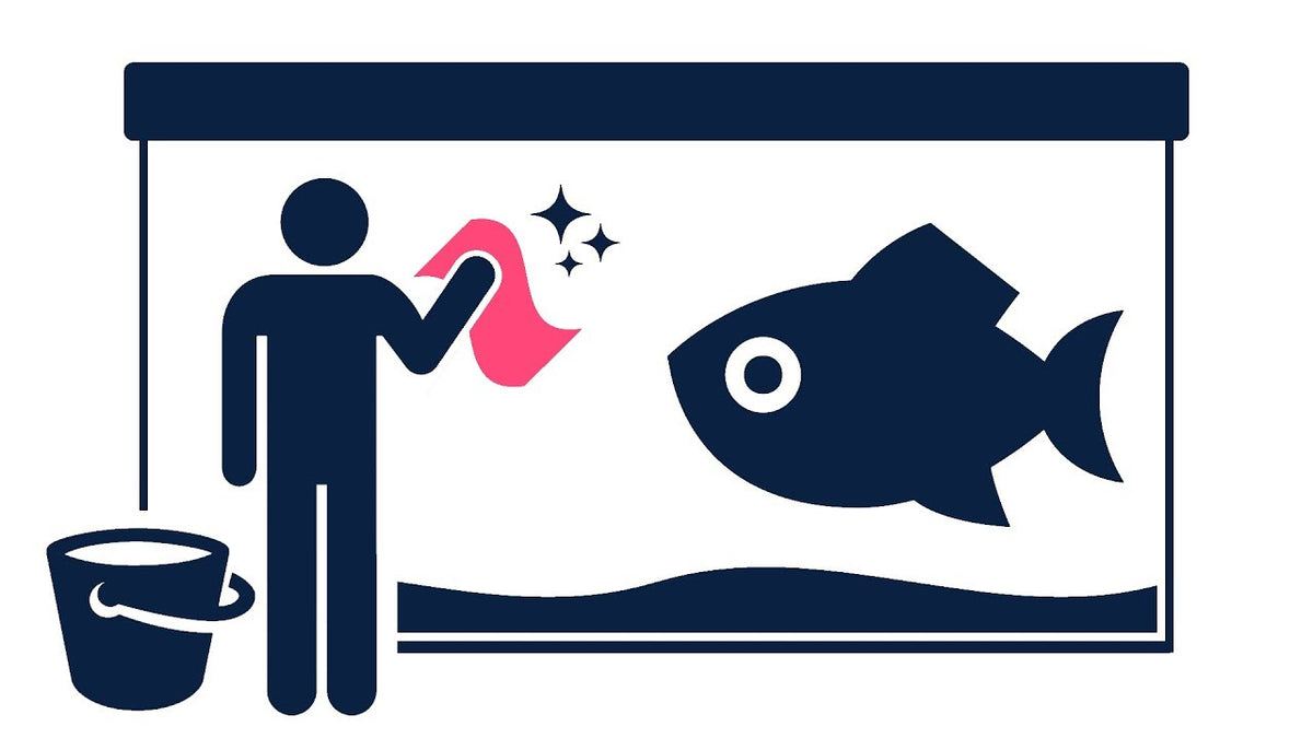 Aquarium Service sjreef