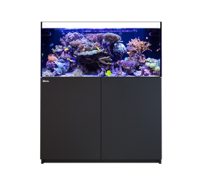 Red Sea - Reefer XL 425 G2 Complete System (88 gal)