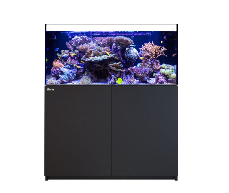 Red Sea - Reefer XL 425 G2 Complete System (88 gal) – sjreef Red Sea - Reefer XL 425 G2 Complete System (88 gal) – sjreef