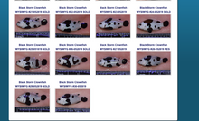 Load image into Gallery viewer, Black Storm Clownfish - Extreme A Grade. **Local Pickup Only**