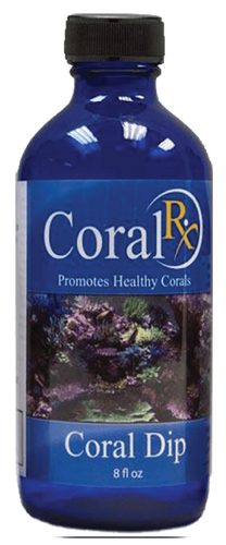 Coral Rx Coral Dip