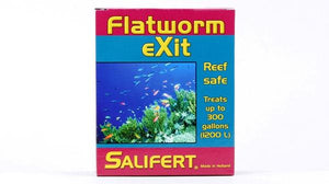 Salifert Flatworm